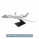 20 Year Milestone Aircraft Model