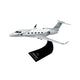 20 Year Milestone Aircraft Model