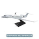 20 Year Milestone Aircraft Model